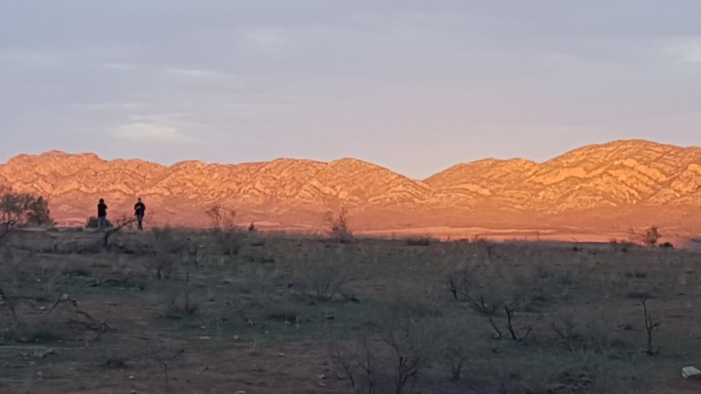 outback flinders ranges